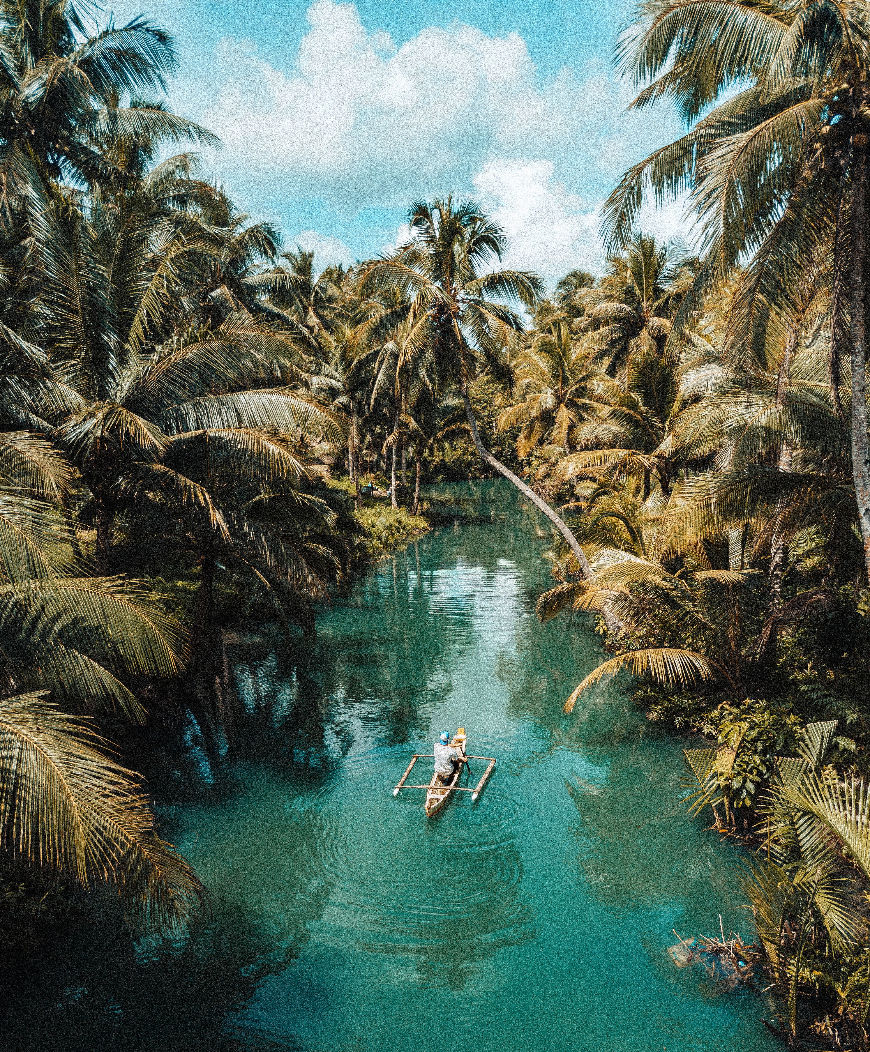 landingImage